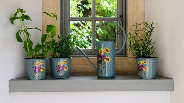 Burgon and Ball RHS Gifts for Gardeners Asteraceae herb pots and watering can